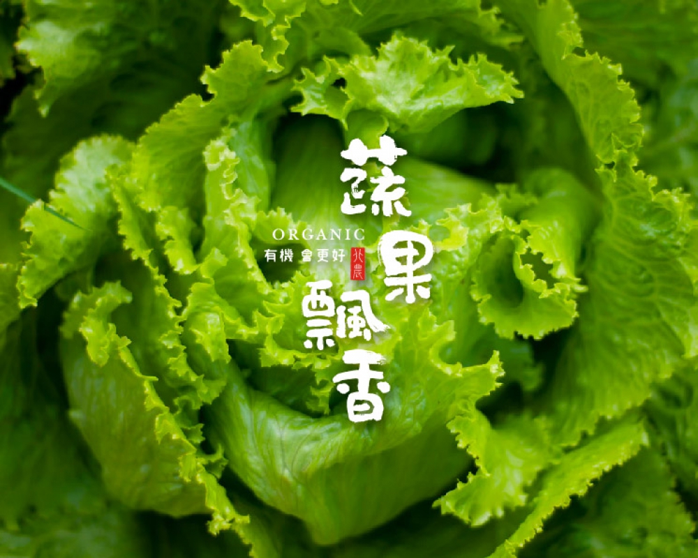 臺北農產 蔬果飄香品牌設計